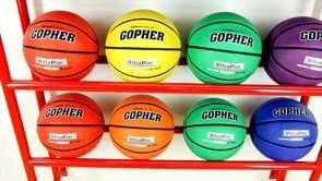 Titan Wall-Mount Ball Rack - Image 5