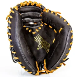 Rawlings Renegade Series Catcher's Mitts