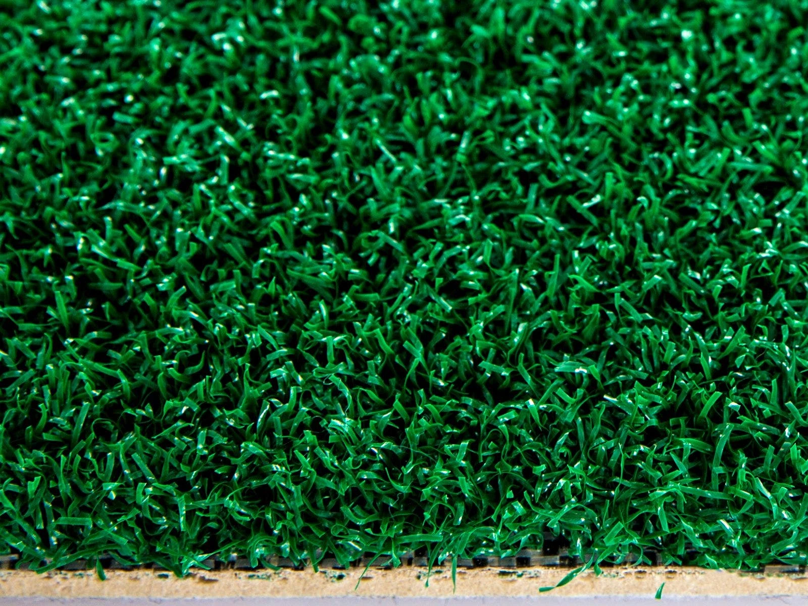 Rollout Indoor Turf - Image 3