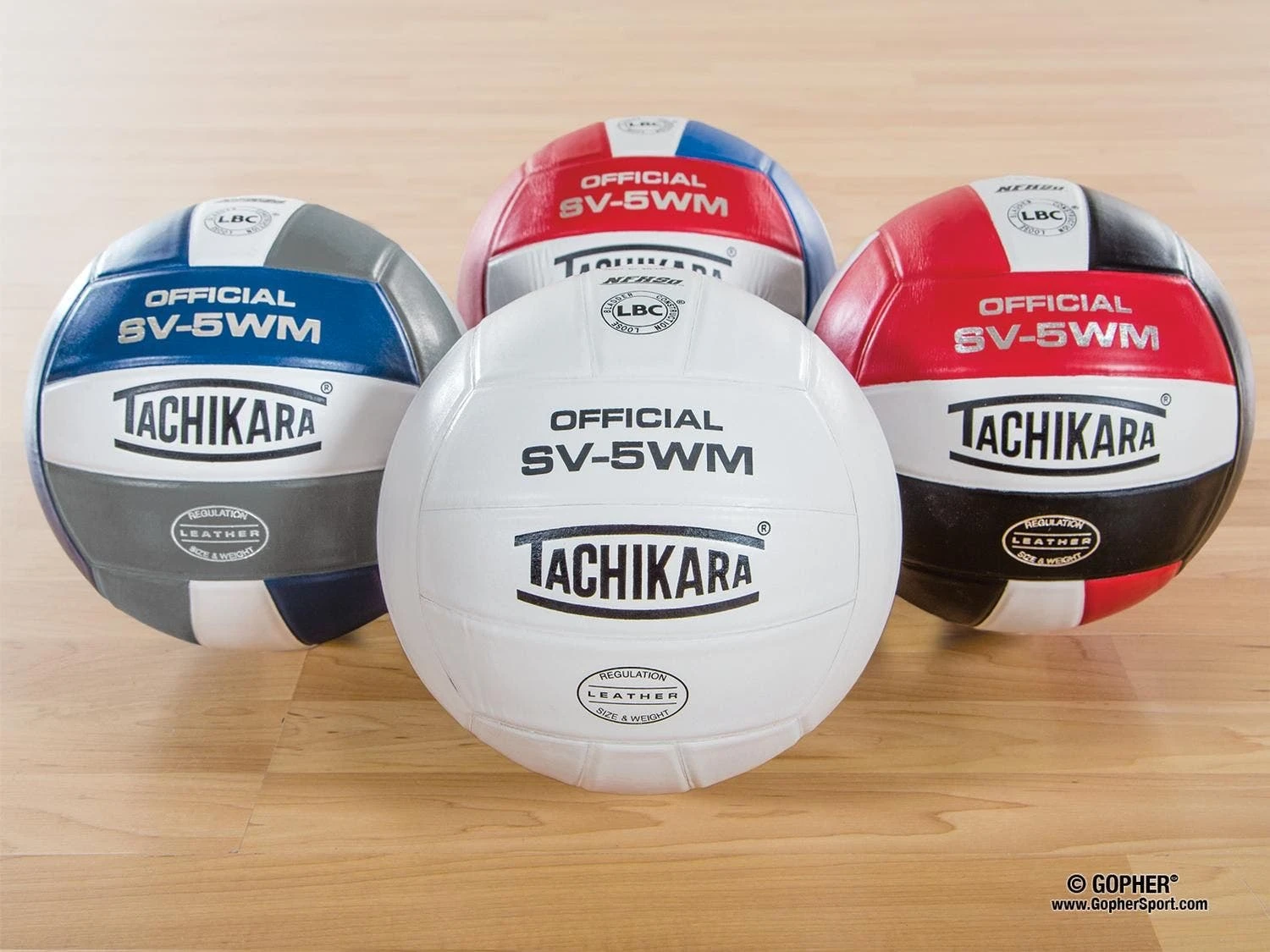 Tachikara SV-5WM Leather Volleyballs - Image 6