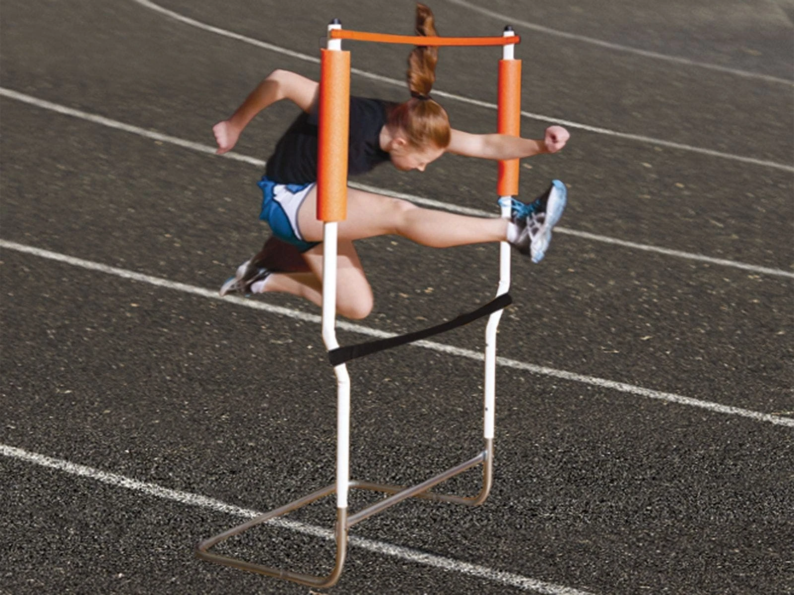 Form Finder Hurdle Trainer - Image 2