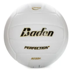 Baden Perfection Leather Volleyball