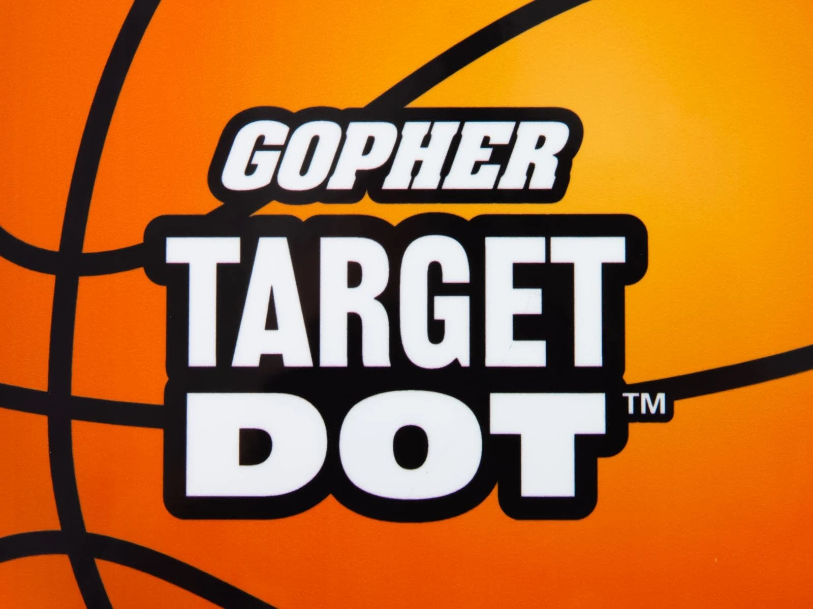 TargetDot Backboard Shooting Target - Image 5