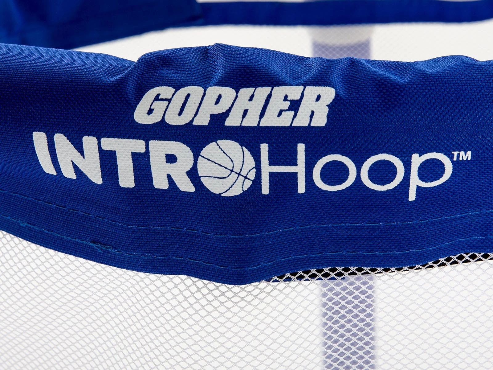 IntroHoop Basketball Goal - Image 2
