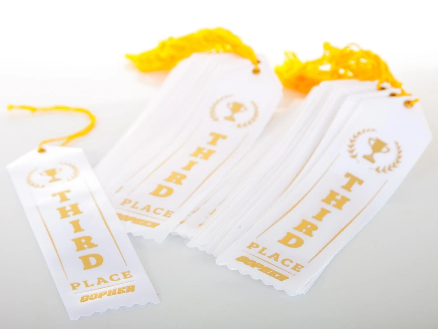 Award Ribbons - Image 3