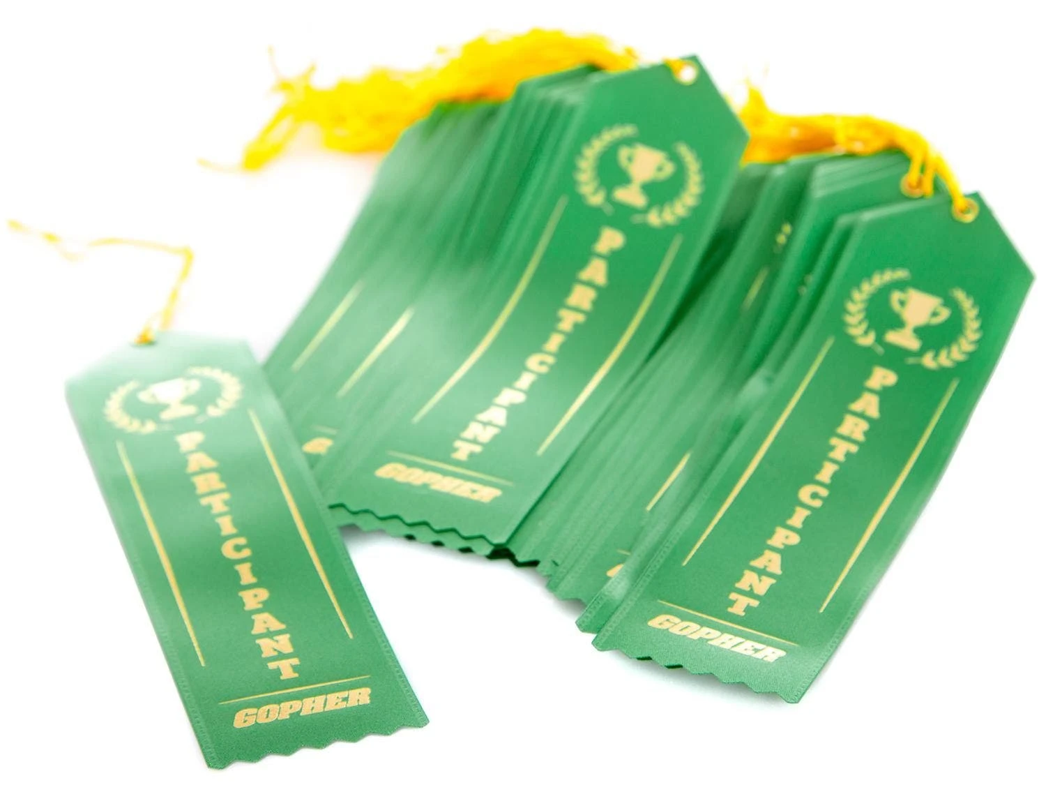 Award Ribbons - Image 8